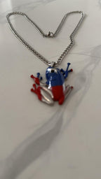 Puerto Rico Coqui Frog Necklace, PR Flag Pendant, Metallic Alloy Jewelry